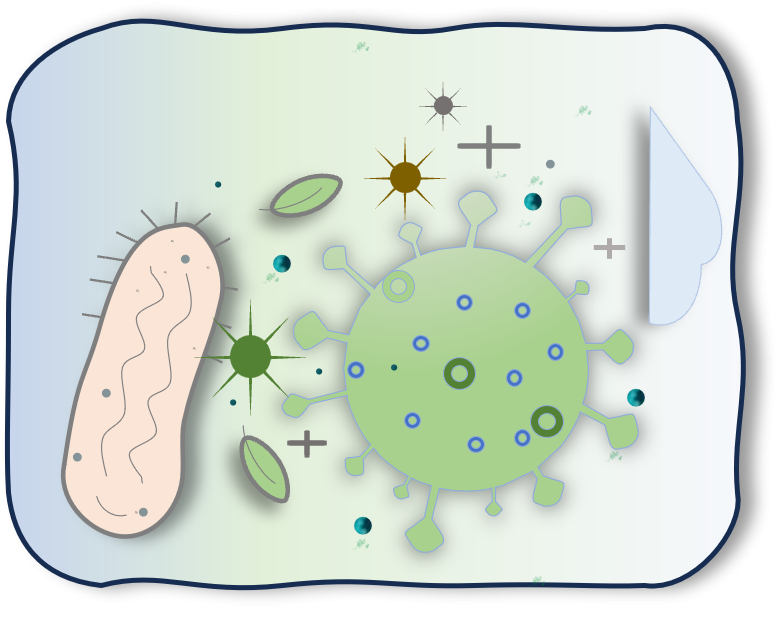 best professional cleaning service